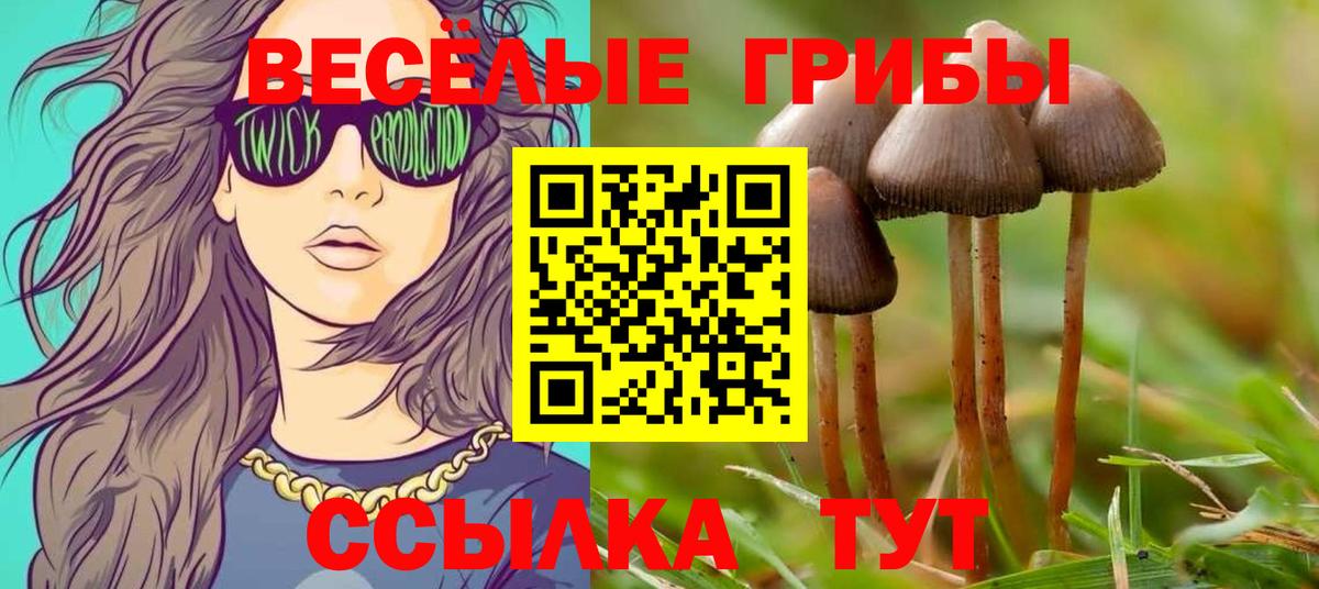Бор  Галлюциногенные грибы Cubensis  Вход с VPN  Галлюциногенные грибы Magic Shrooms 