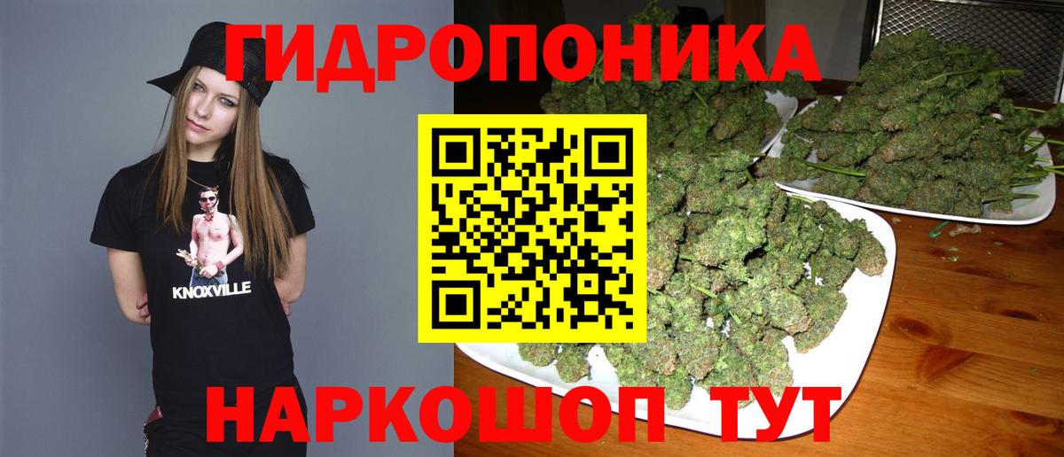 Шишки марихуана план Бор